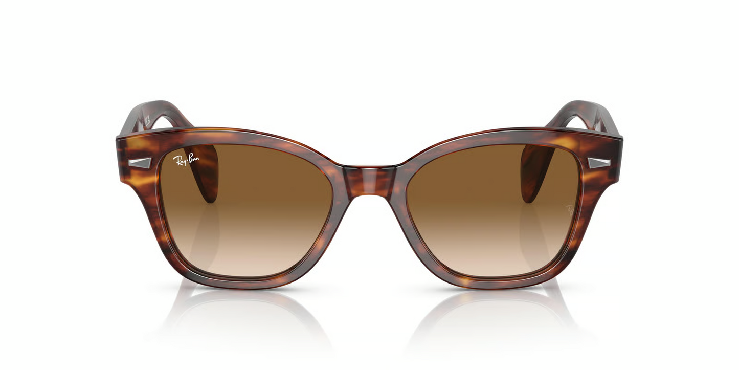 Ray-Ban RB0880S Sunglasses