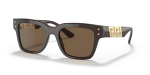 535673 - Brown with Dark Brown Lenses