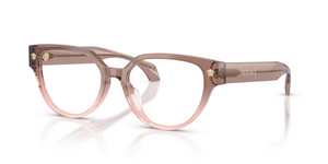 5435 - Brown Gradient Pink with Clear Lenses