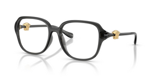 5483 - Opal Grey with Clear Lenses