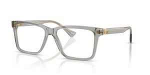 5496 - Transparent Grey with Clear Lenses