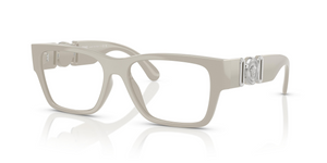 5501 - Light Grey with Clear Lenses
