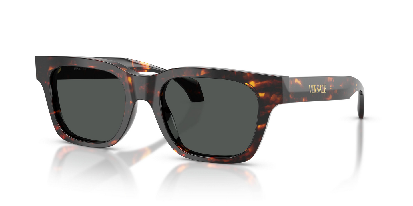Versace VE4486 Sunglasses