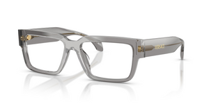 5510 - Transparent Grey with Clear Lenses