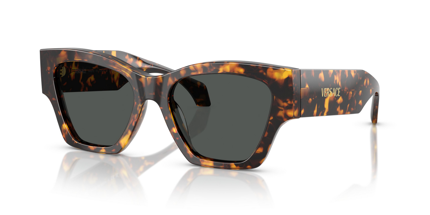 Versace VE4492U Sunglasses