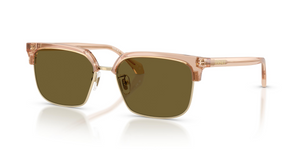 551883 - Transparent Brown with Dark Brown Lenses