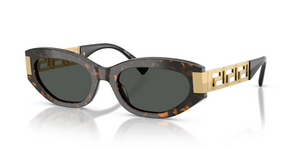 552887 - Brown Tortoise with Dark Grey Lenses