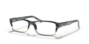 5540 - Grey with Clear Lenses