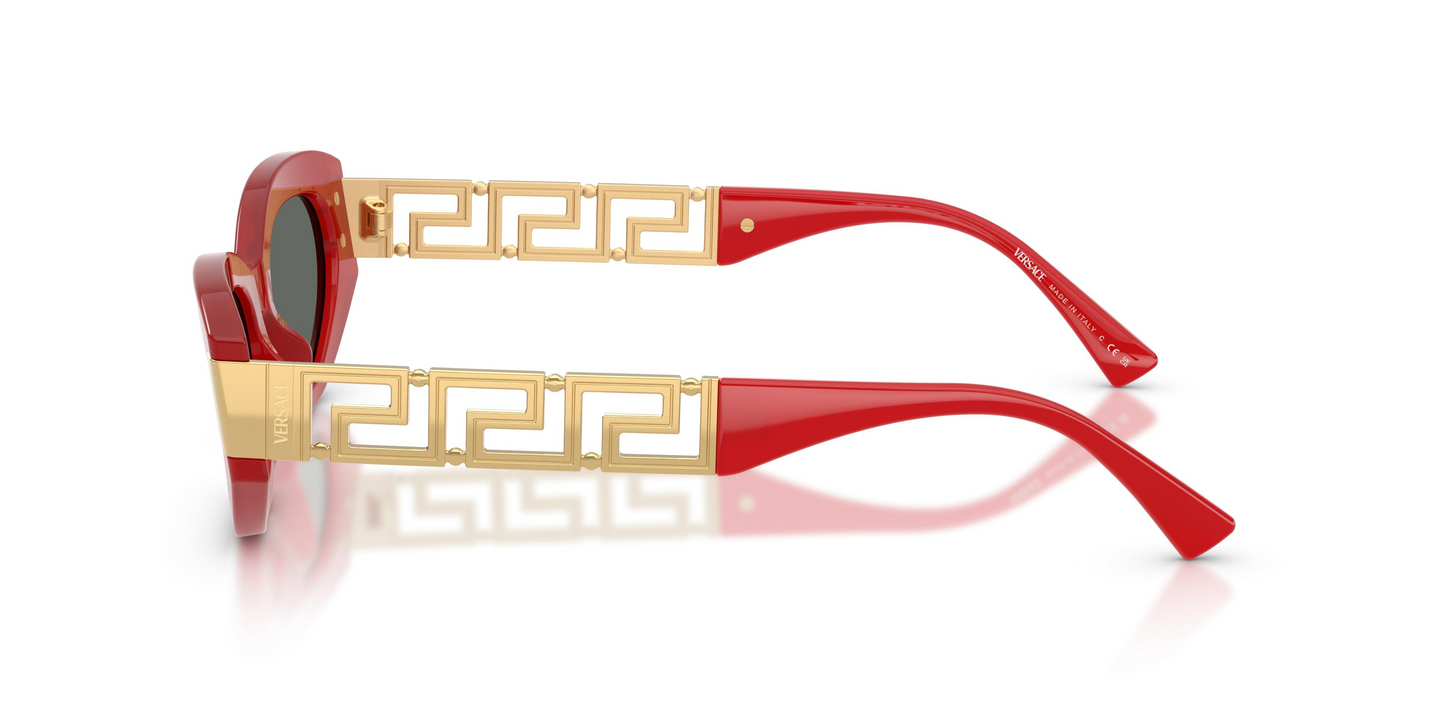 Versace VE4501 Sunglasses