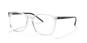 5629 - Transparent with Clear Lenses