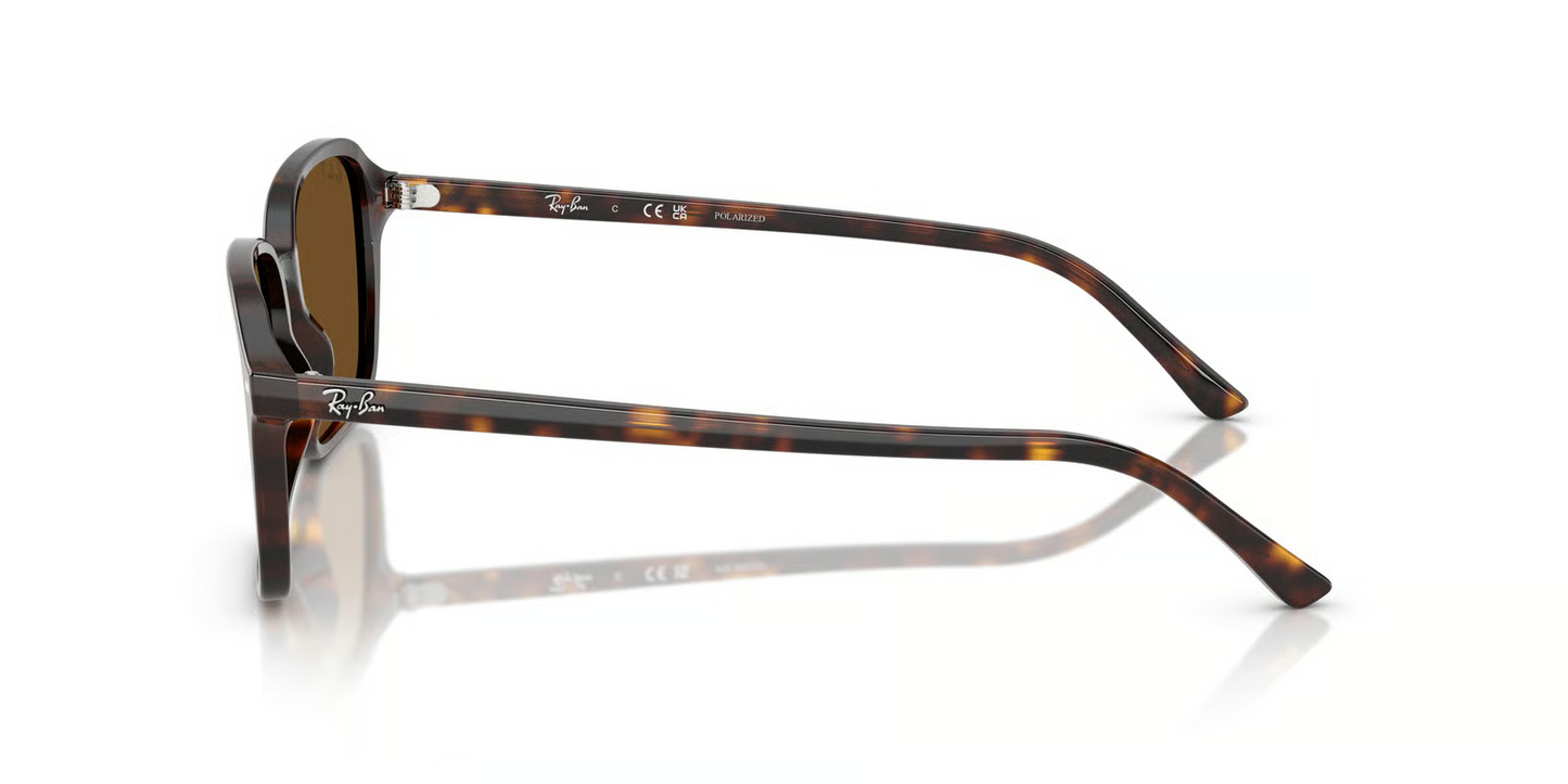 Ray-Ban RB2231F Raimond Sunglasses