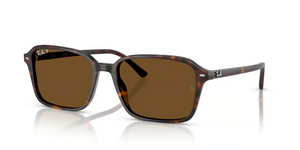 902/57 - Havana with Polarized B-15  Brown Lenses