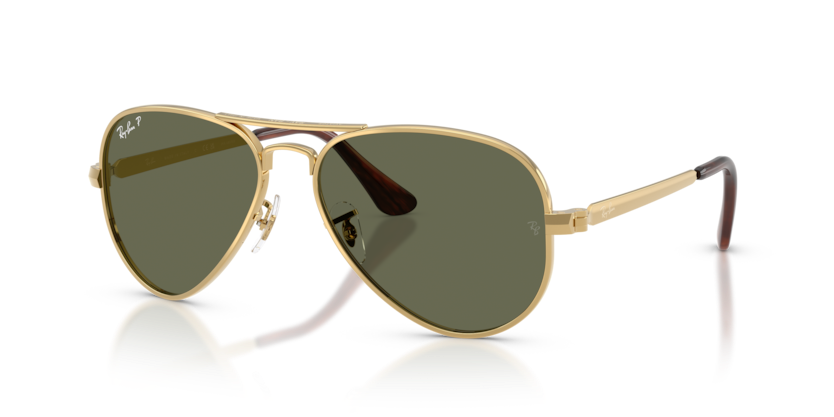 Ray-Ban RB3925 Aviator Max Sunglasses