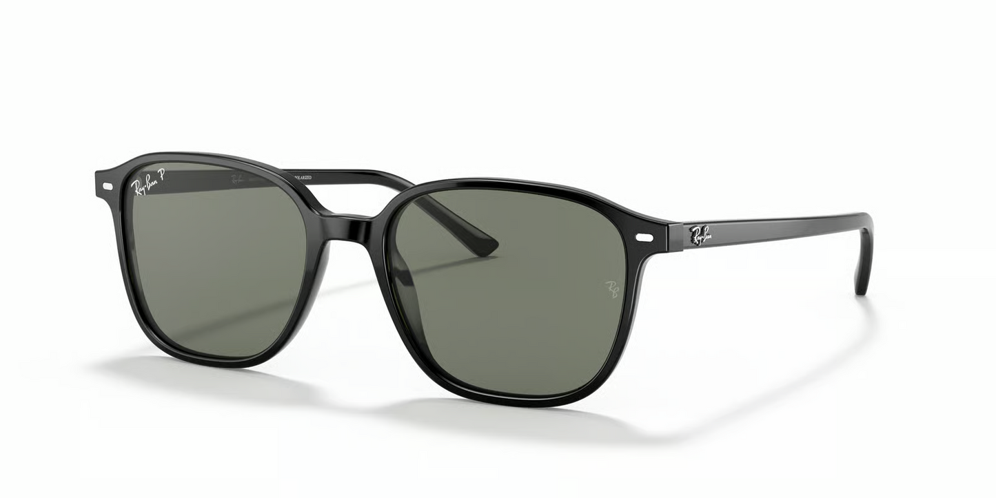 Ray-Ban RB2193 Leonard Sunglasses