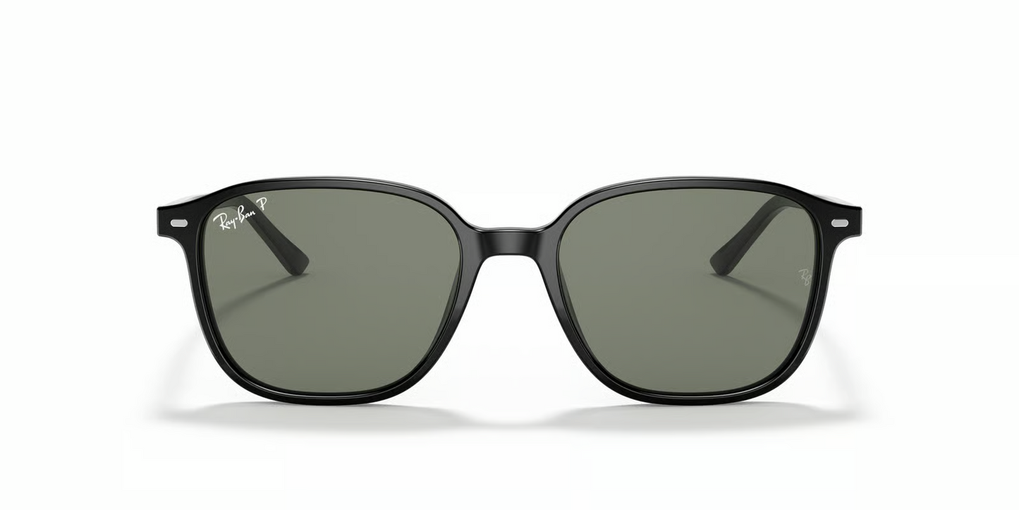 Ray-Ban RB2193 Leonard Sunglasses