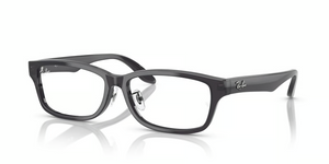 5920 - Transparent Dark Gray with Clear Lenses