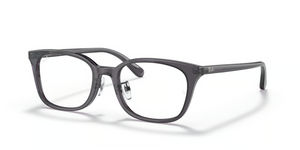 5920 - Transparent Dark Gray with Clear Lenses