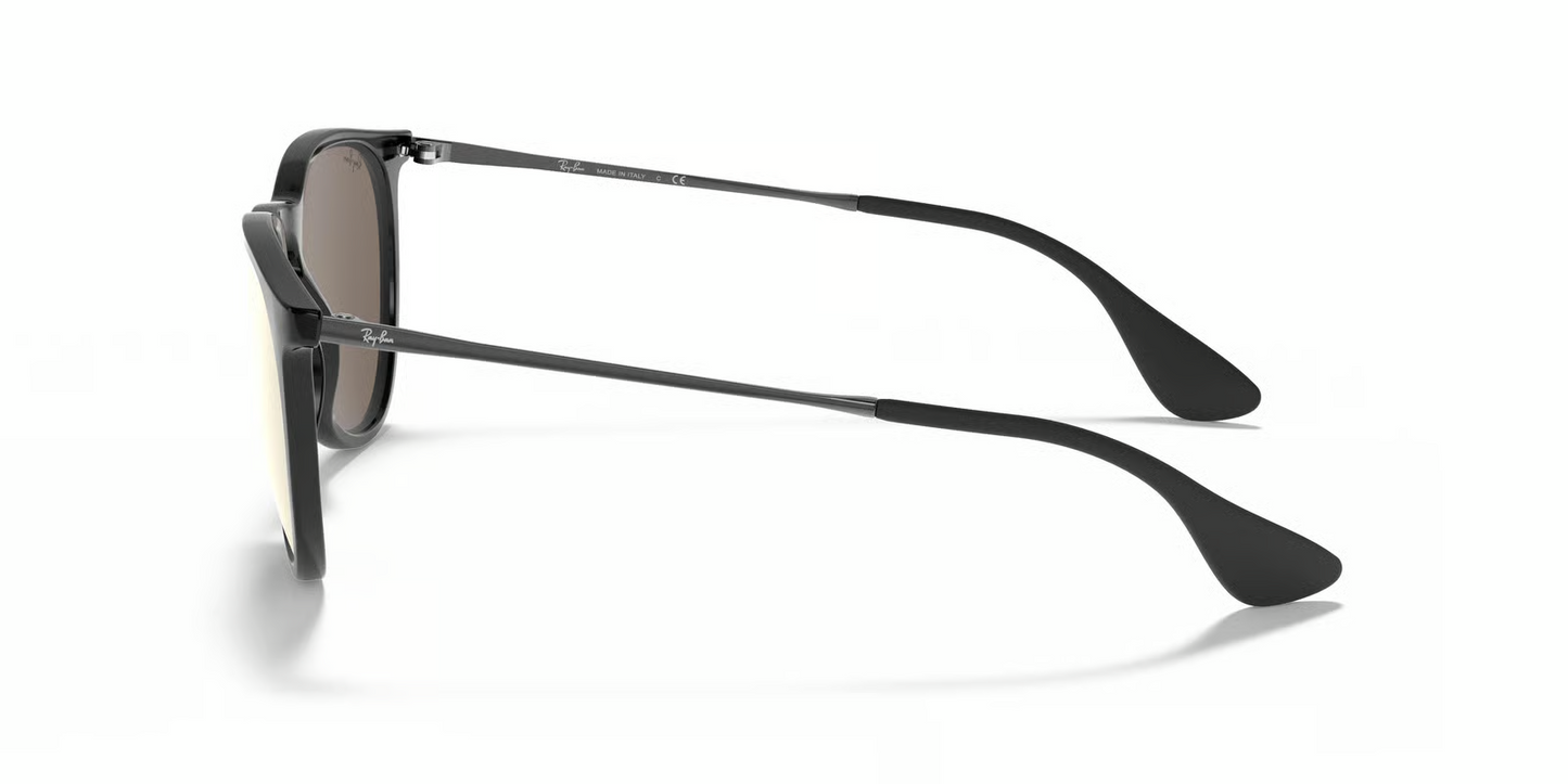 Ray-Ban RB4171 Erika Sunglasses