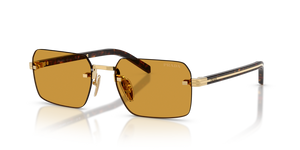 5AK50P - Gold with Dark Honey Lenses