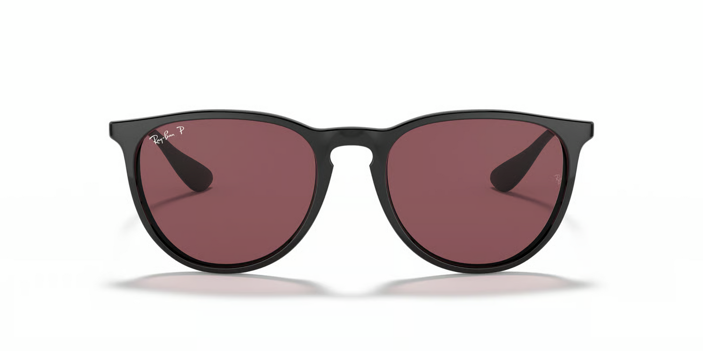 Ray-Ban RB4171 Erika Sunglasses