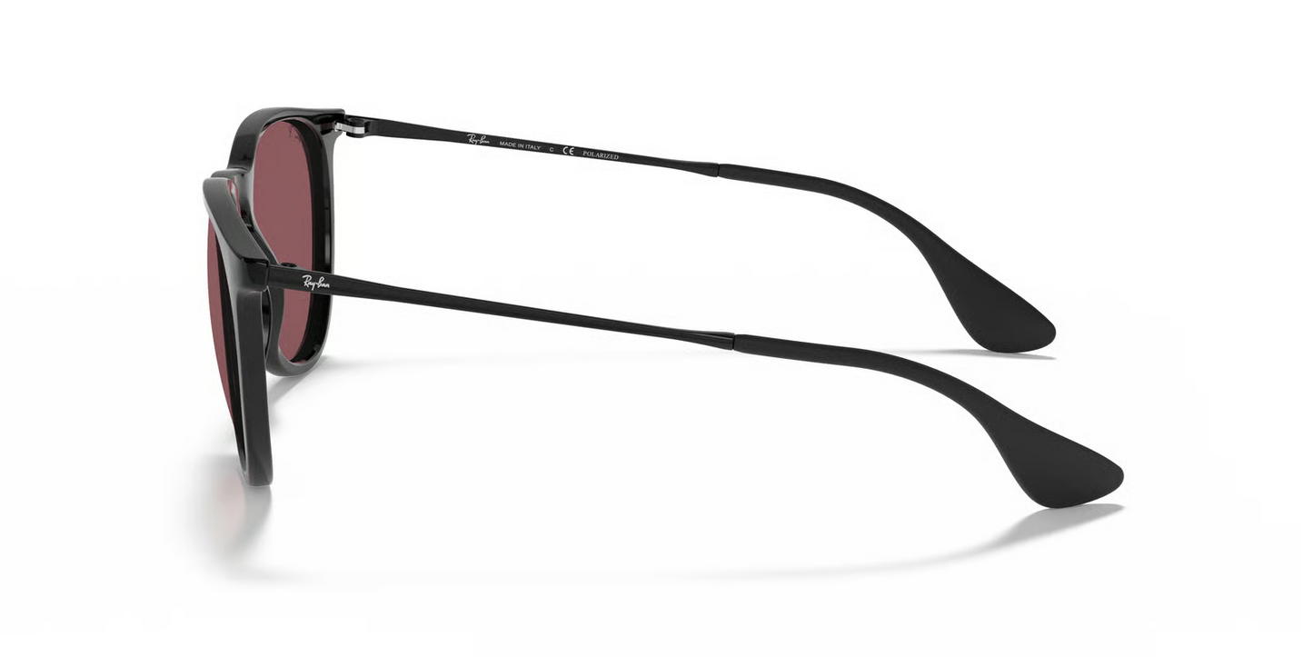 Ray-Ban RB4171 Erika Sunglasses