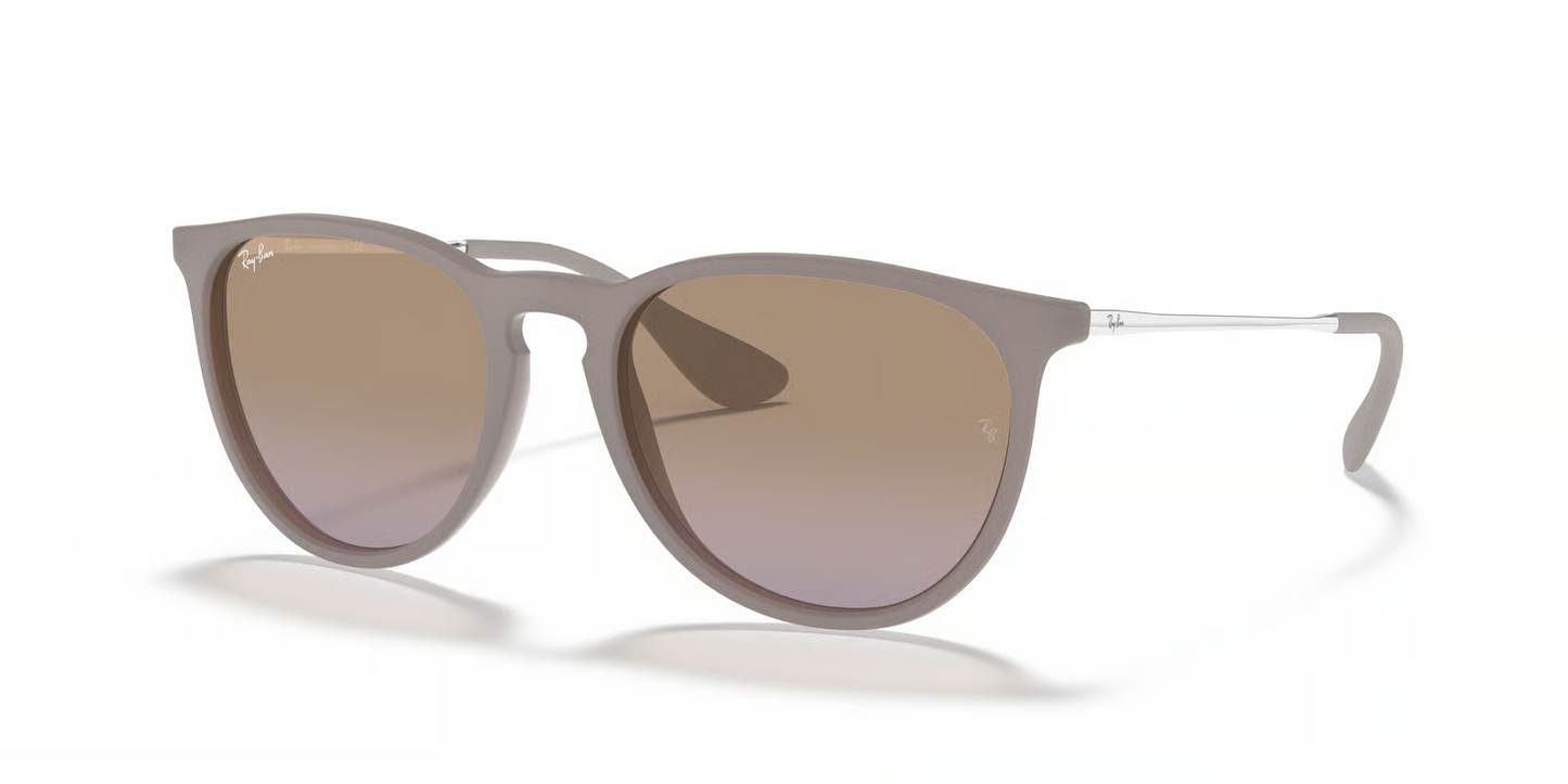 Ray-Ban RB4171 Erika Sunglasses