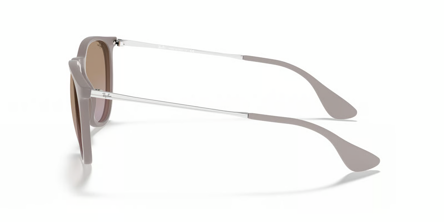 Ray-Ban RB4171 Erika Sunglasses