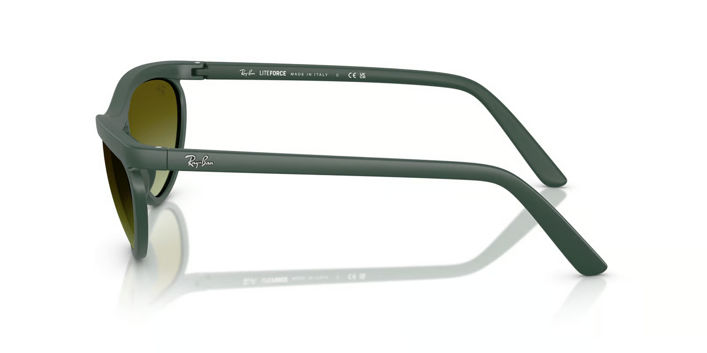 Ray-Ban RB4453 Sunglasses