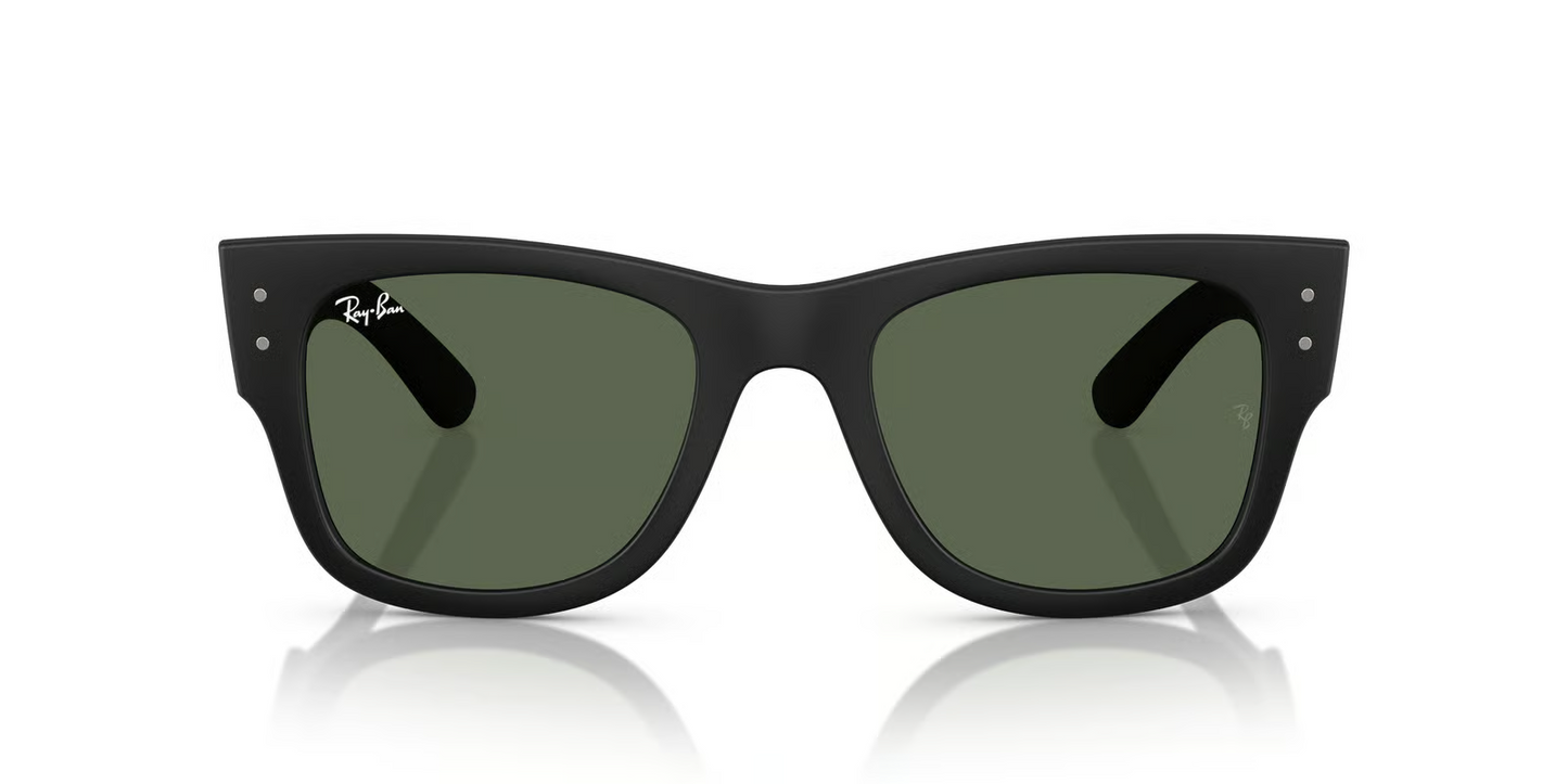 Ray-Ban RB4840S Sunglasses