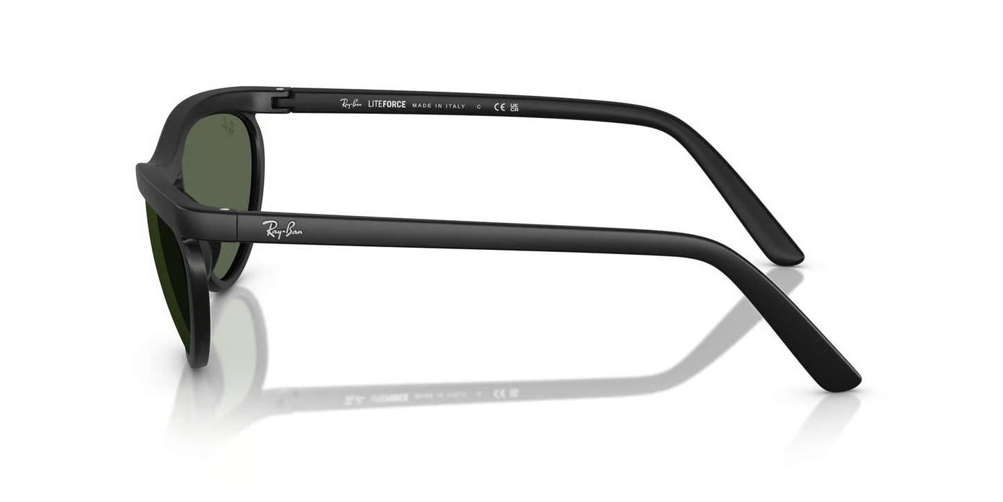 Ray-Ban RB4453 Sunglasses
