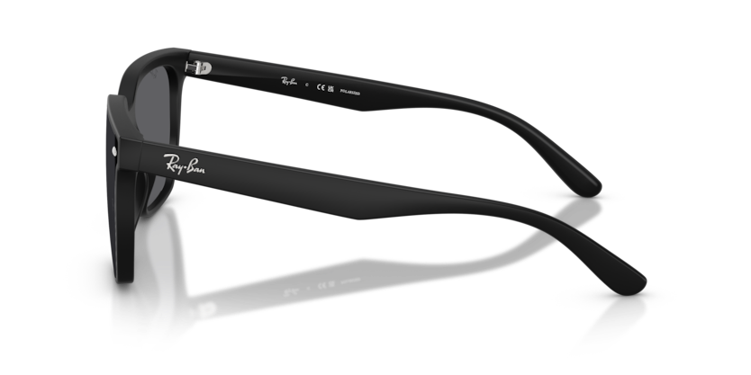 Ray-Ban RB4466D Sunglasses