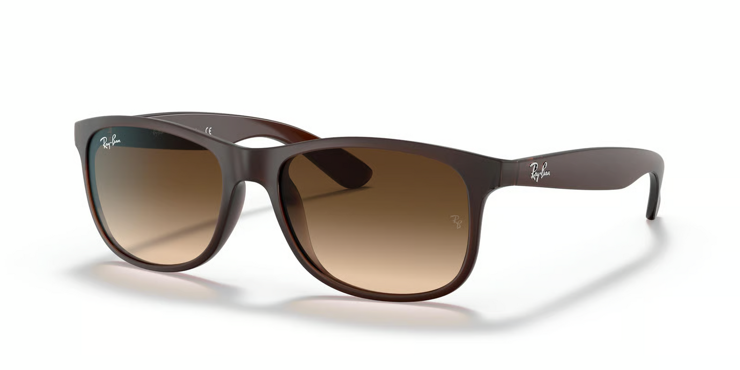 Ray-Ban RB4202 Andy Sunglasses