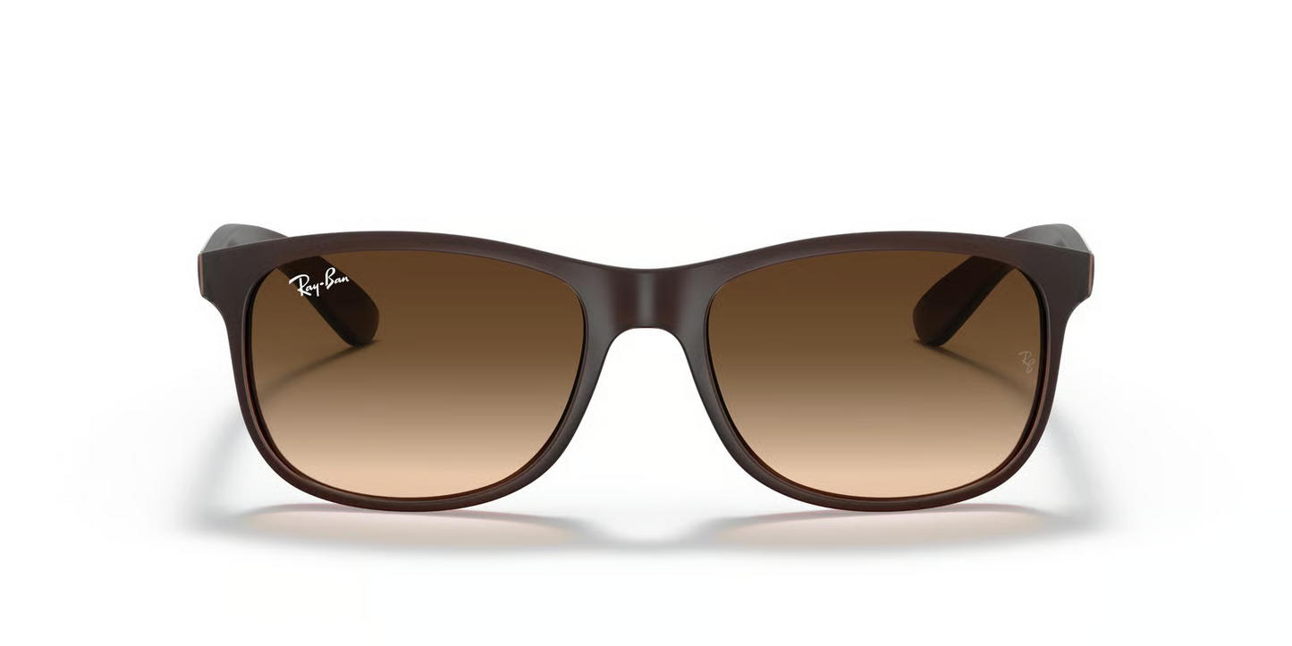 Ray-Ban RB4202 Andy Sunglasses