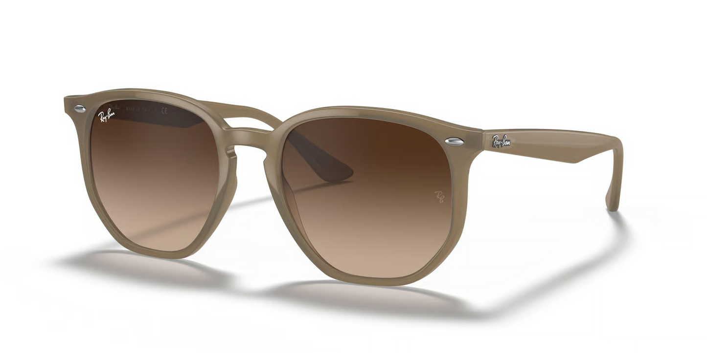 Ray-Ban RB4306 Sunglasses