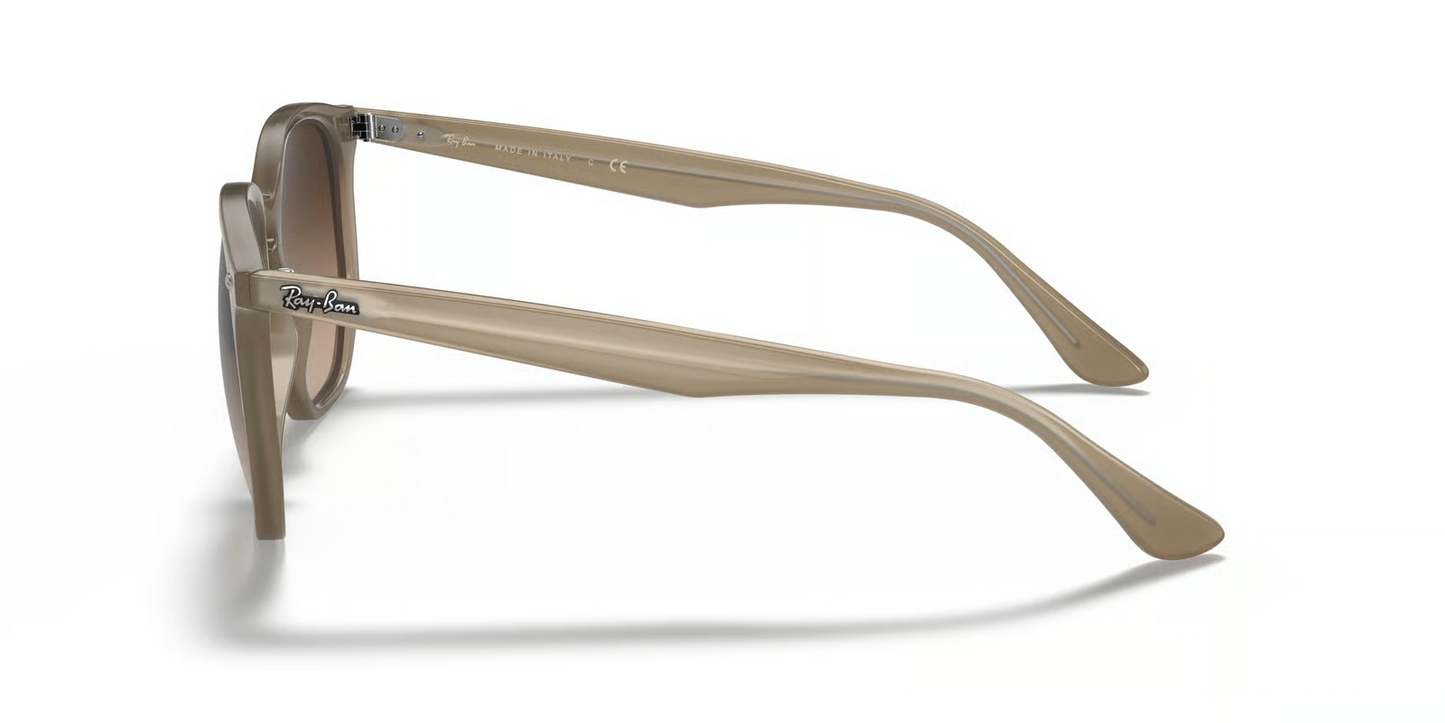 Ray-Ban RB4306 Sunglasses