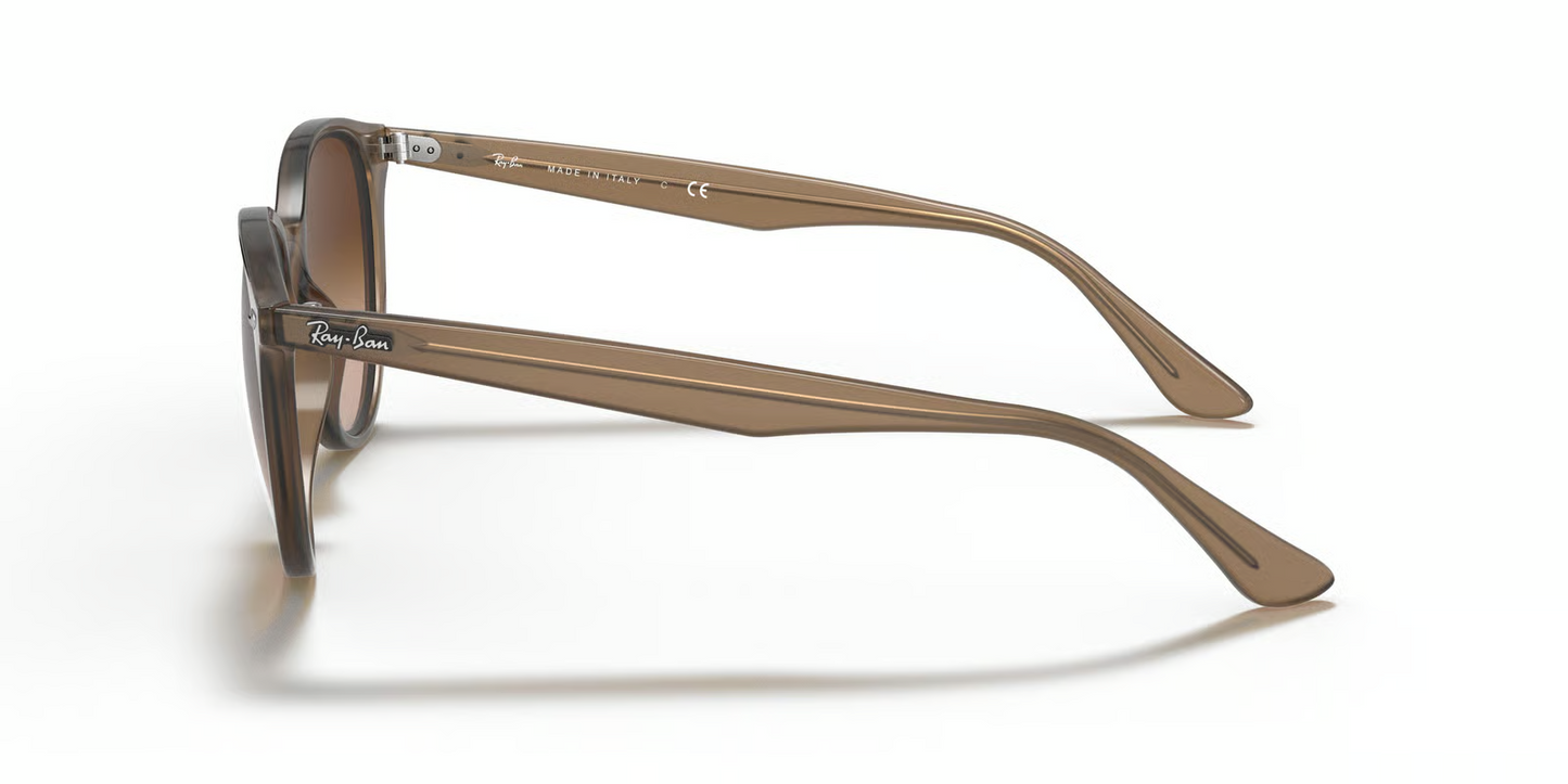 Ray-Ban RB4305 Sunglasses