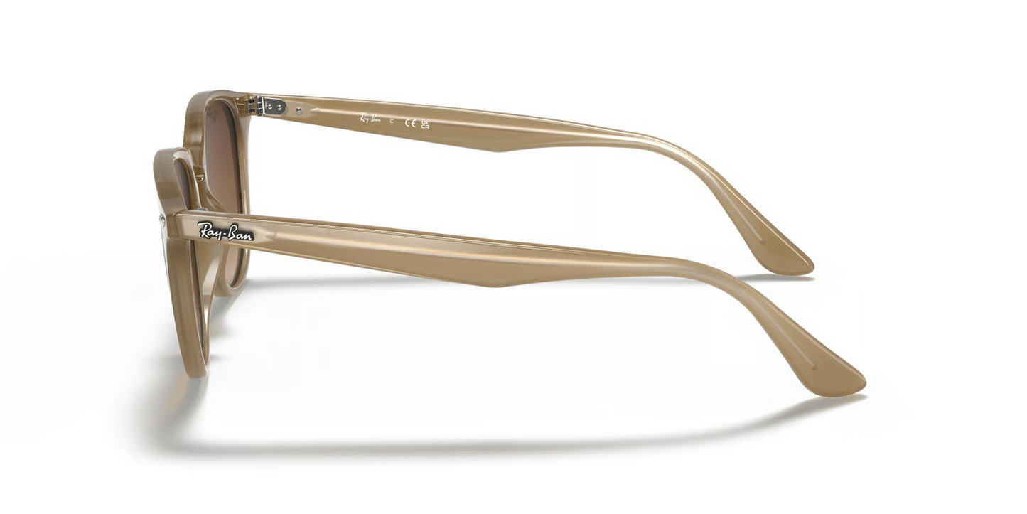 Ray-Ban RB4259 Sunglasses