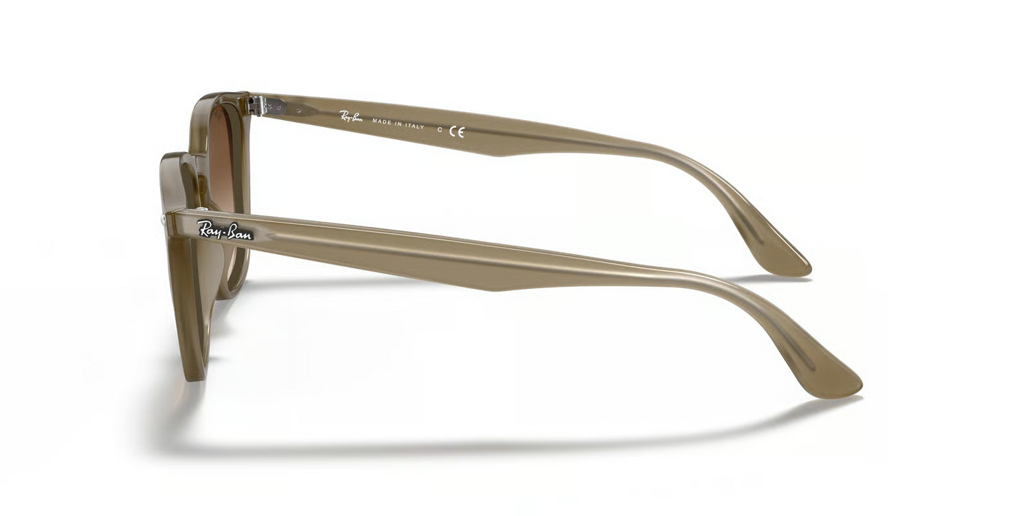 Ray-Ban RB4258F Sunglasses