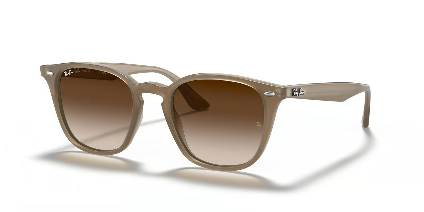 Ray-Ban RB4258F Sunglasses