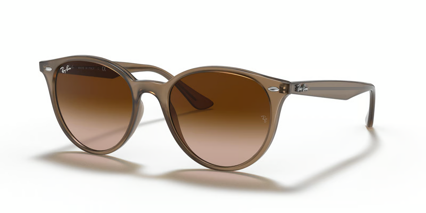 Ray-Ban RB4305 Sunglasses
