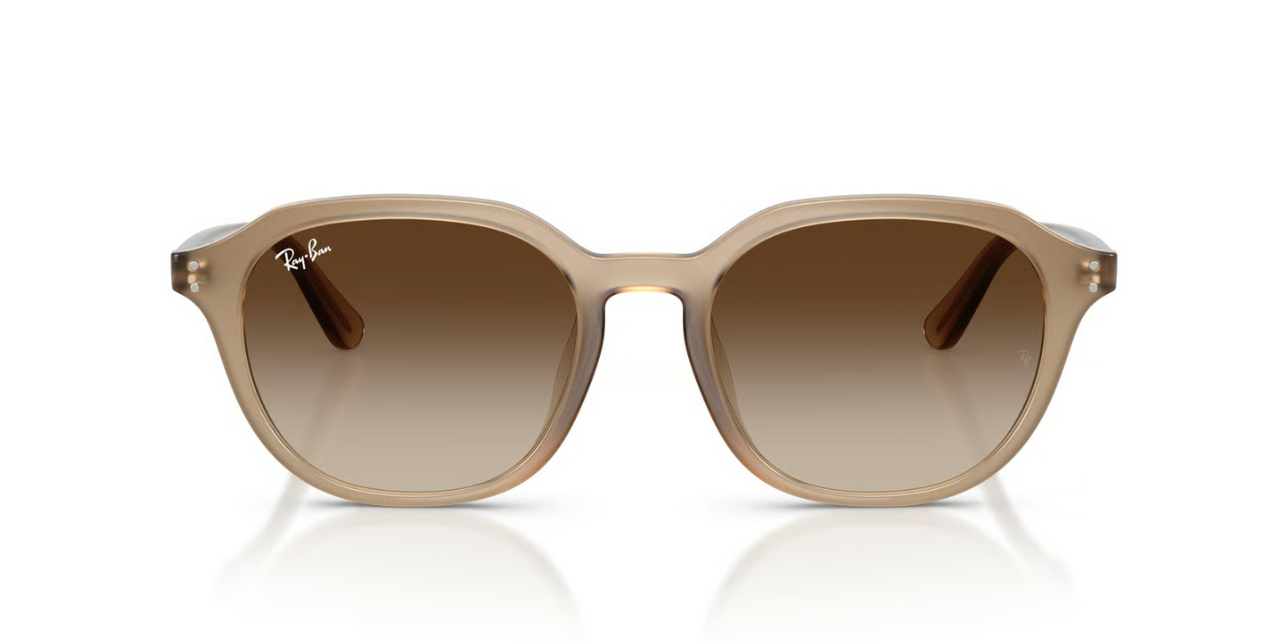 Ray-Ban RB4459D Sunglasses