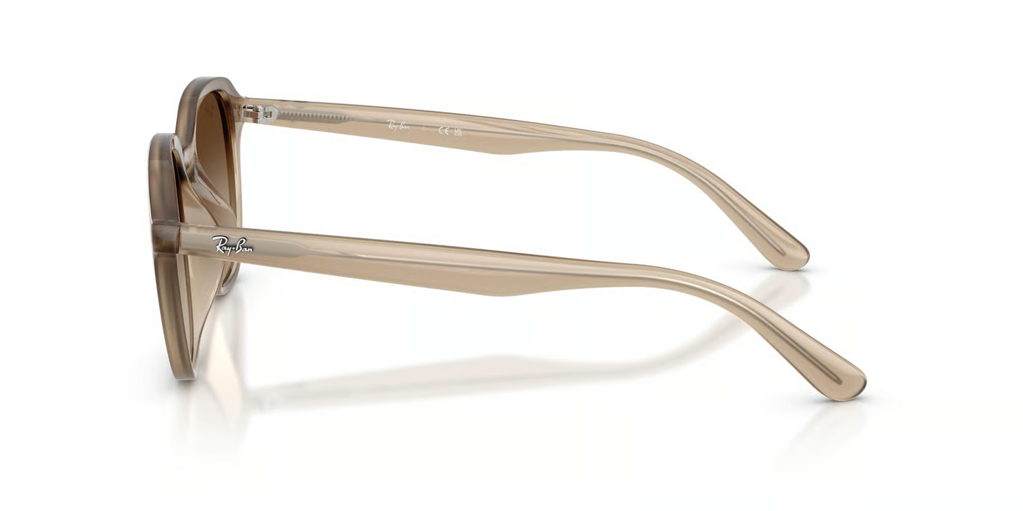 Ray-Ban RB4459D Sunglasses