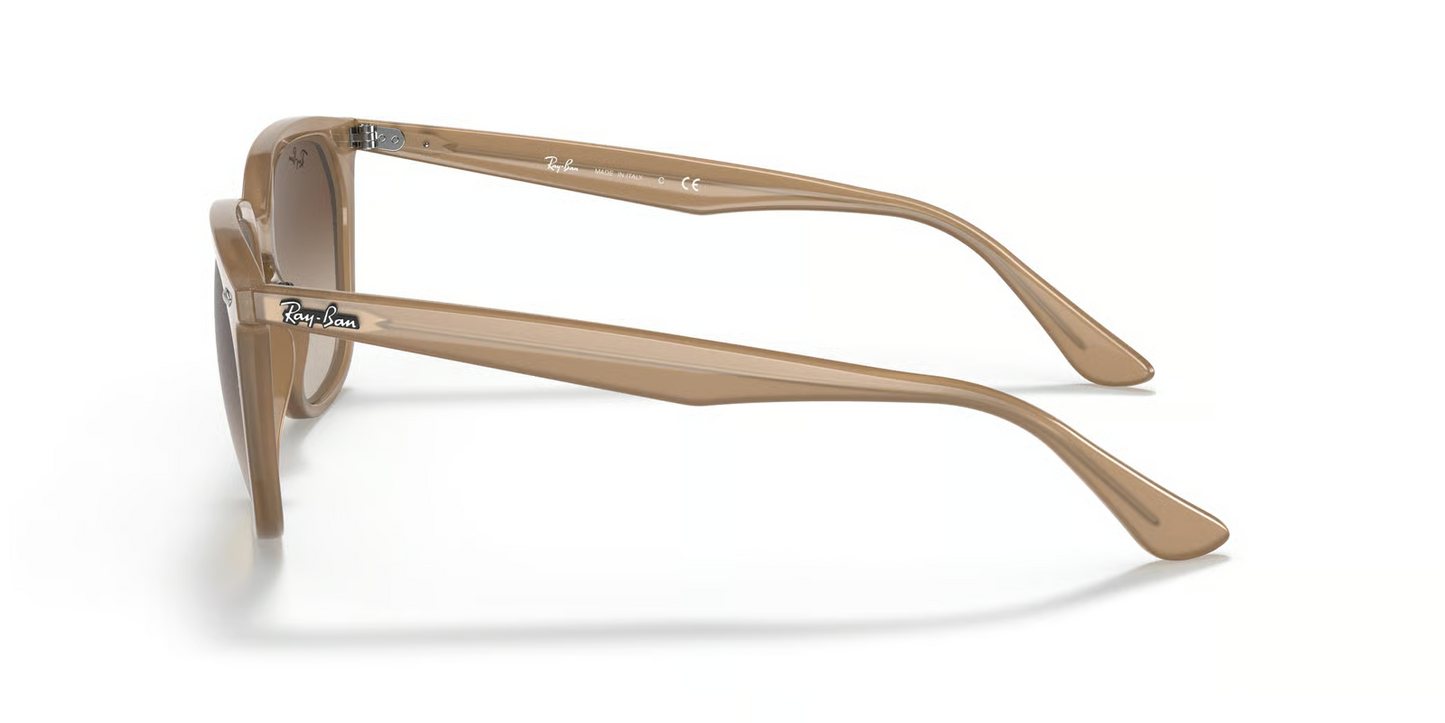 Ray-Ban RB4362 Sunglasses