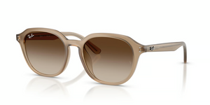 616613 - Turtledove with Gradient Brown Lenses