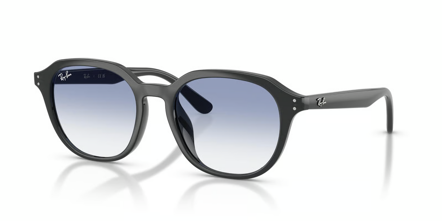 Ray-Ban RB4459D Sunglasses