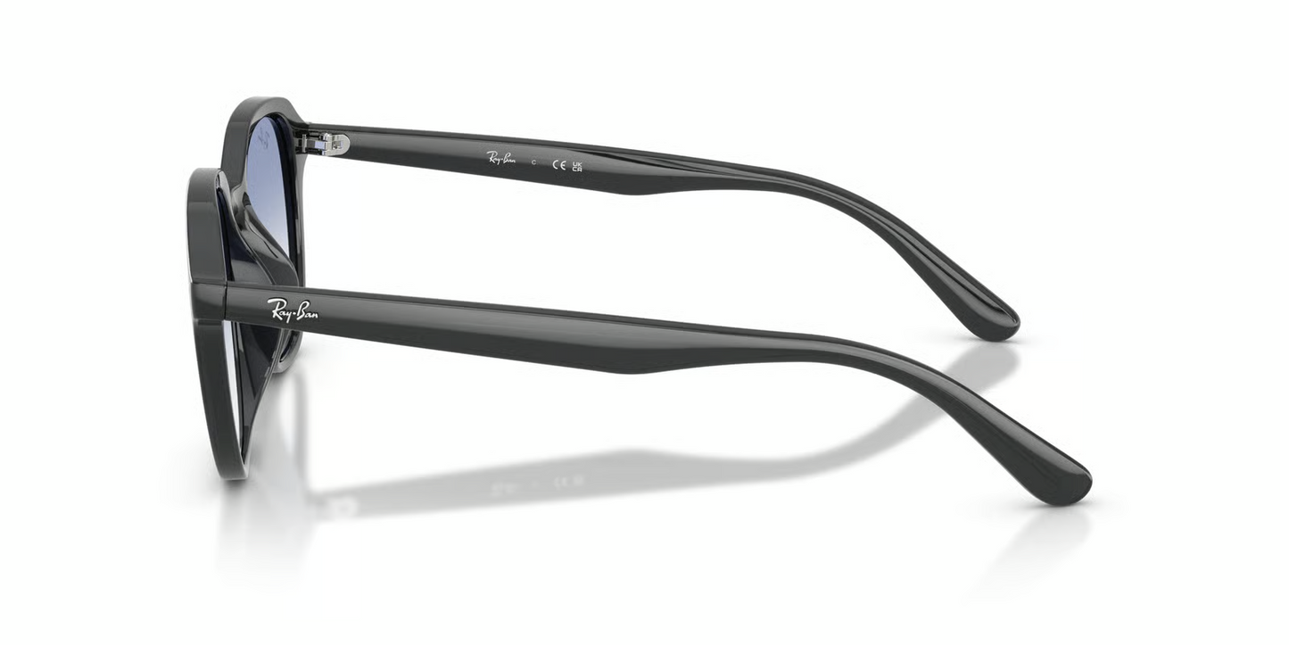 Ray-Ban RB4459D Sunglasses