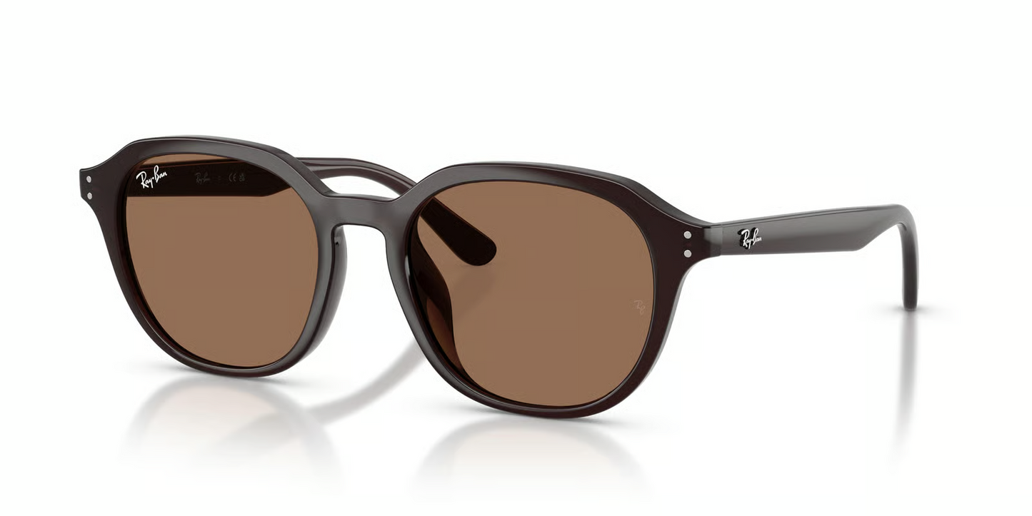 Ray-Ban RB4459D Sunglasses