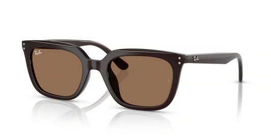 Ray-Ban RB4439D Sunglasses