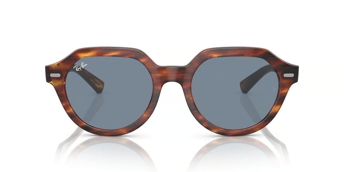 Ray-Ban RB4399 Gina Sunglasses