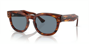 954/62 - Striped Havana with Blue Lenses